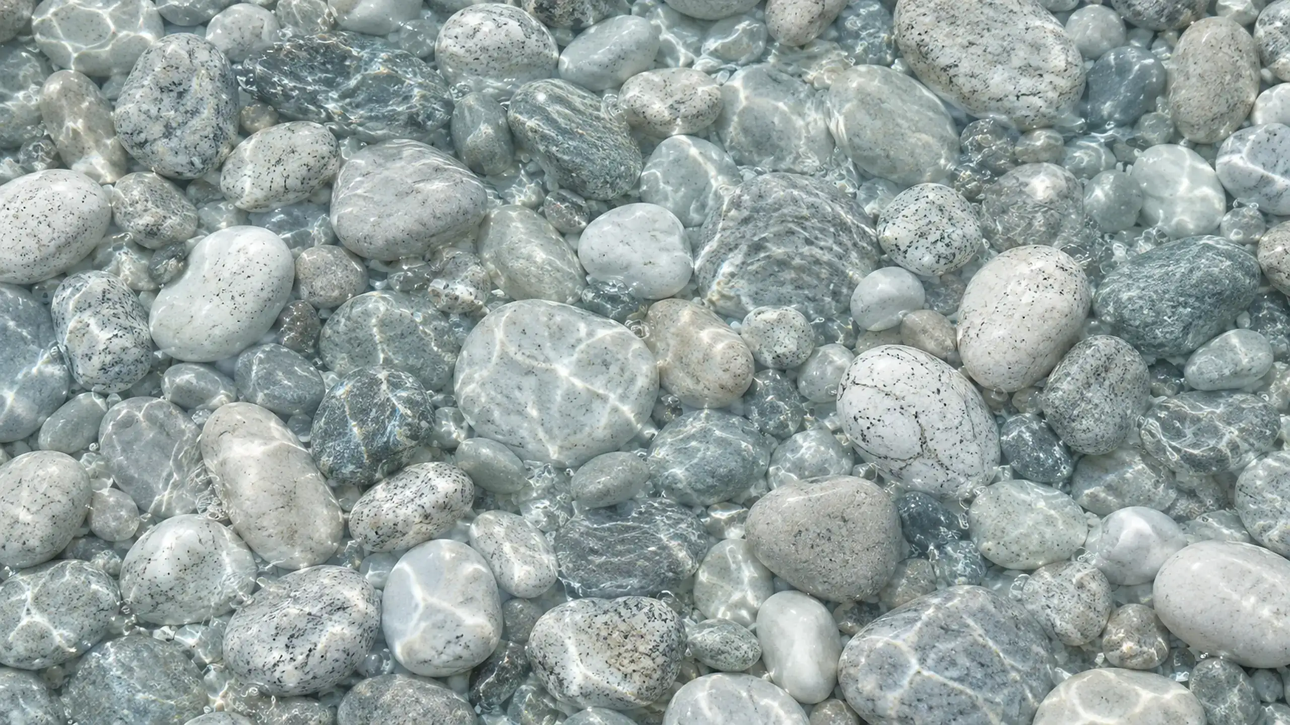 Smooth gray river stones under clear shallow water