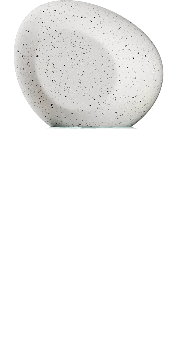The white speckled stone cap